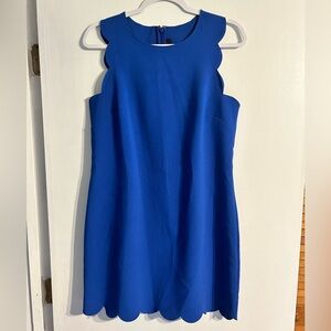 J. Crew Blue Scalloped Shift Mini Dress Womens Size 8 Spring Summer Preppy